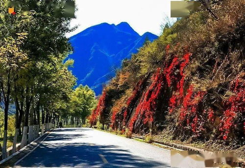 五、 回程——梗刺激、梗绝望、梗…?