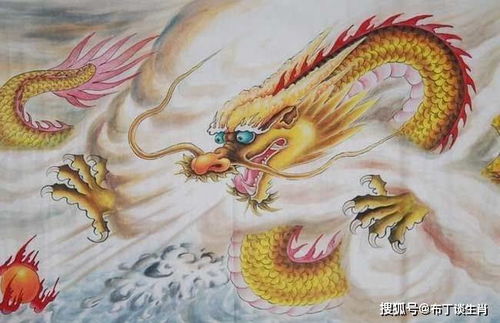 （二）财运解析