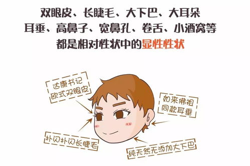 面相遗传规律：为什么儿子长得像妈妈？