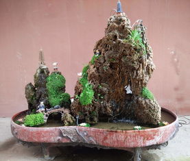 风水学中，石头假山盆景在家中的摆放位置应该如何选择？