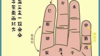 乙木男命与哪些命相冲或相生？适合与哪种命的人配对？