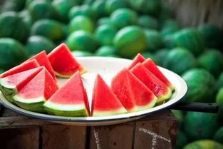 二、 西瓜属性及其对人体生理机嫩的潜在影响