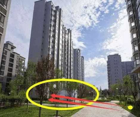 2. 阴阳平衡理论