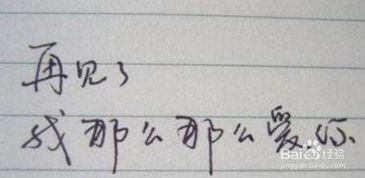 二、 潜在风险及不利因素分析