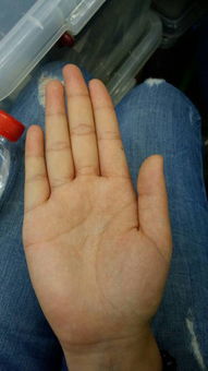 美丽手相女孩的手相图是怎样的？