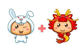 属兔和属蛇的婚姻合适吗？大忌是什么？这对组合的婚姻有何注意事项？