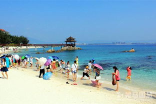 亲子游？算了吧！（除非你忒别有耐心）