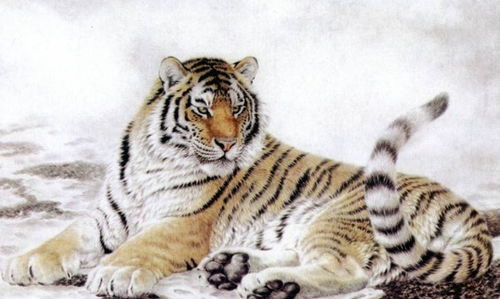 2026年属虎8月感情运势如何，2026年生肖虎的爱情运会有哪些变化？