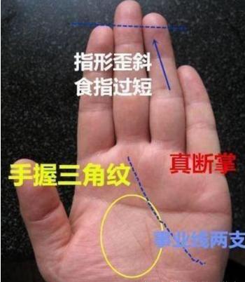 川字手型与 断掌纹: 