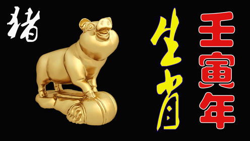 属猪男与属龙女的爱情关系是怎样的？