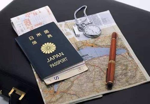 真实案例：从拒签到成功