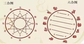 *金火闪耀型（金-火）*