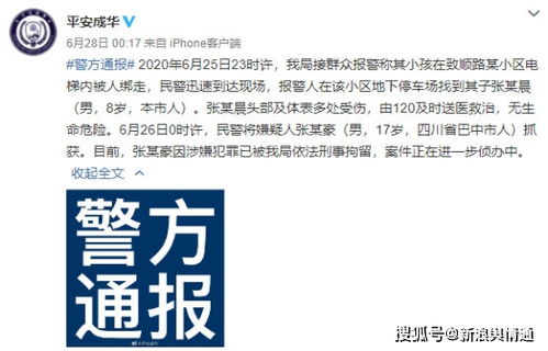 一、 网络舆论对青更少年的实际价值观塑造
