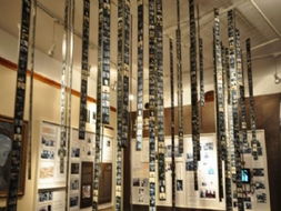 5.终极省钱大法：免费日 (地狱级别的排队体验)