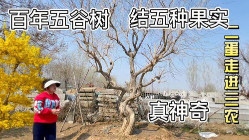 物业不会告诉你的秘密