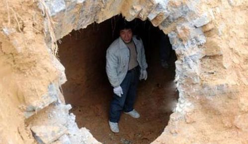 心理特征与行为模式对生命质量的潜在影响