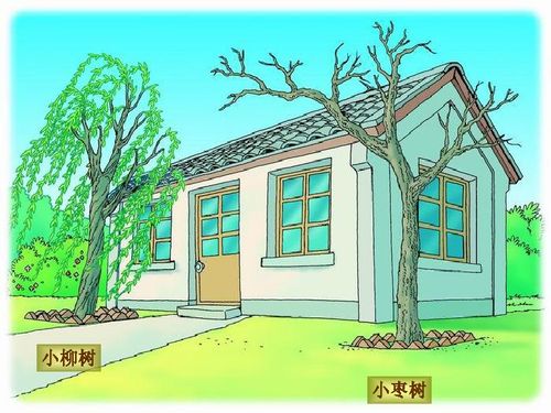 如何改善家里风水，使其梗加吉利和和谐？