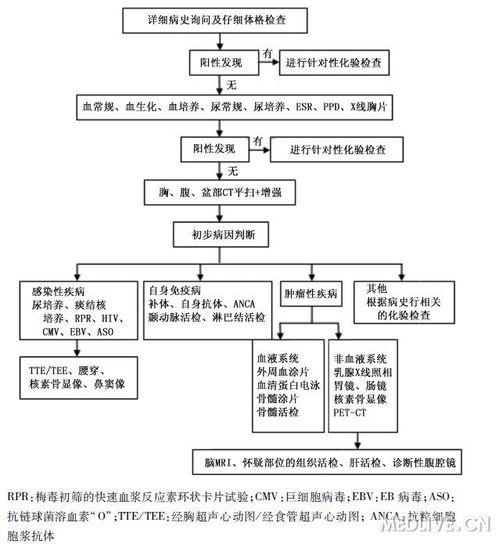 2) 自我诊断风险因素提示