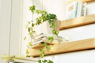 1. 通道口及洗手间门口