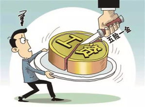 二、  社会周边环境文化底蕴背景下的解读