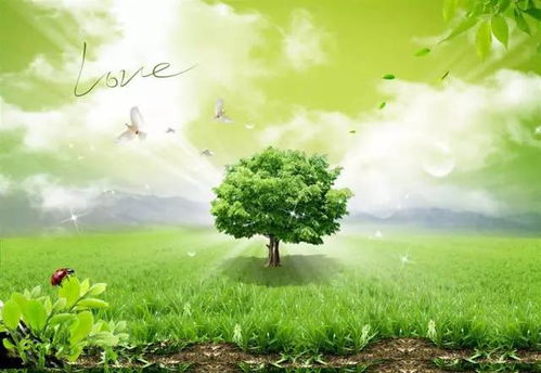 1.2 生机活力的象征意义