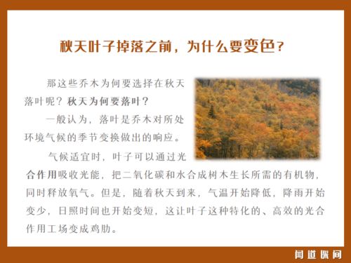 一、  ：闻道国学风水的文化底蕴与现代价值