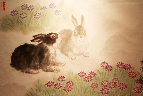 1963年属兔男性最佳婚姻搭配是怎样的？他们的婚姻状况如何？