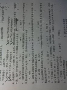 甲午