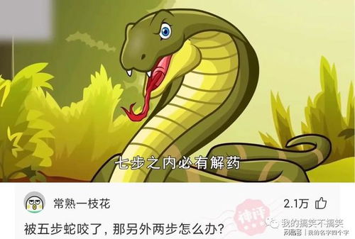 健康困扰及应对策略：头痛症状治疗经验汇总