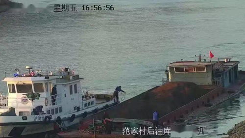 第一象限：生肖与时运的谶纬之谜