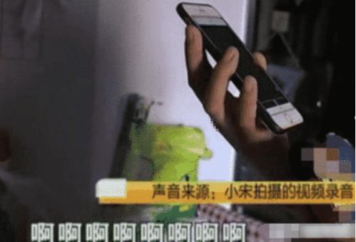 传统方式文化底蕴视角：生肖星座与风水解读