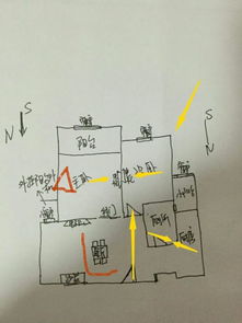 4．乱石分布与心脏健康之间的关系