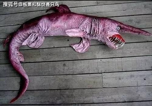 梦见水中有怪物，这究竟是什么神秘生物，为何会出现在我的梦境中呢？