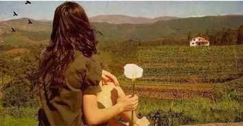 市场需求与效果争议之现状分析