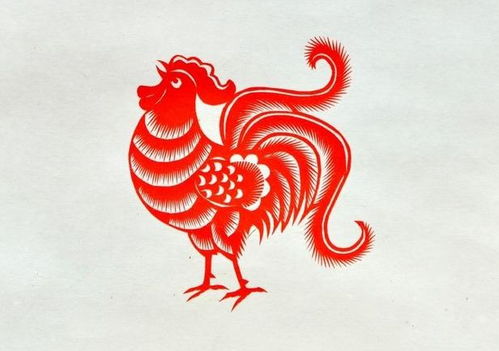 属鸡人十月财运如何，幸运物品是什么？