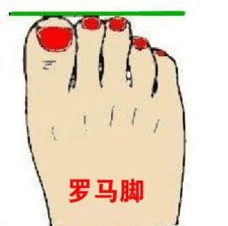 性别差异与脚型特征对财富命运的影响