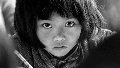 环境塑造：后天影响的重要性