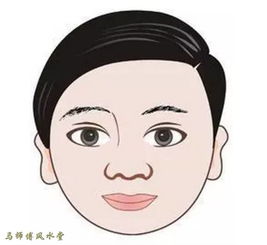 如何通过八字时柱分析男女脸型及命运？