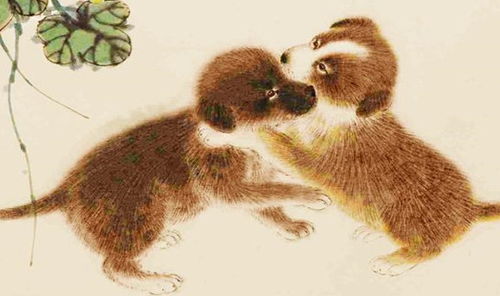 95年属猪和93年属鸡的婚姻配对是否和谐？