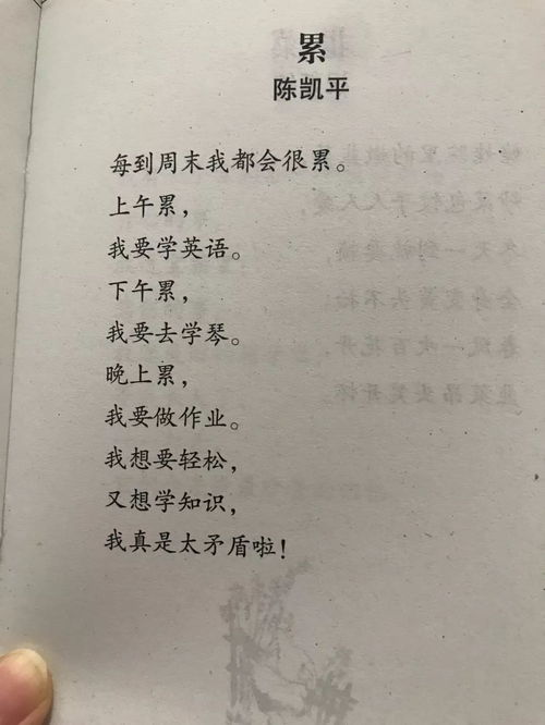 3.1 神经影像学证据材料链条构建