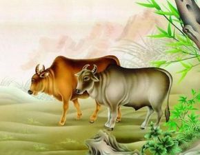 1. 变通能力与正直之间的辩证关系