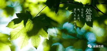 3. 睡眠规律——避免秋乏之关键措施