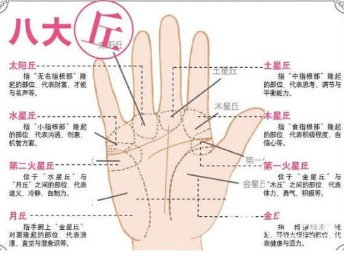 智慧线的长度与深度