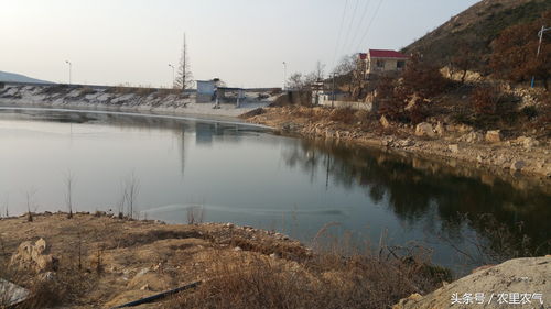 二、 建筑布局与内部空间配置