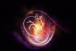 案例观察：小姑于大安阁超度经验