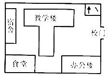 2. 水仙（Narcissus）