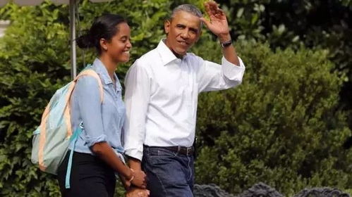 （二）汪小菲——辛酉年生之金鸡命格