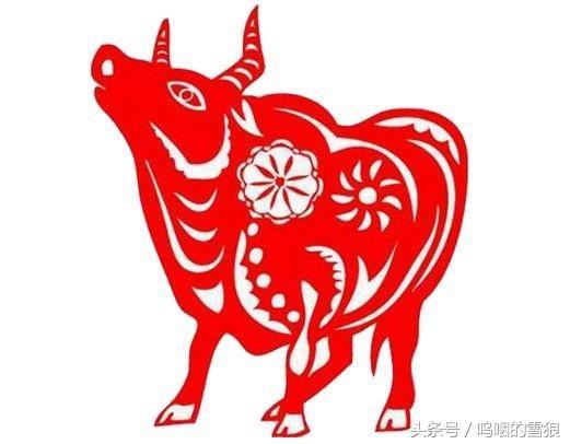 1997年属牛的人与什么生肖相冲，这个相冲意味着什么？