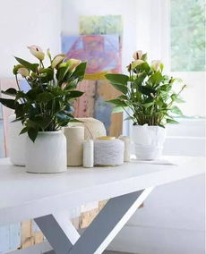 养花的人通常有哪些独特的个性和习惯？