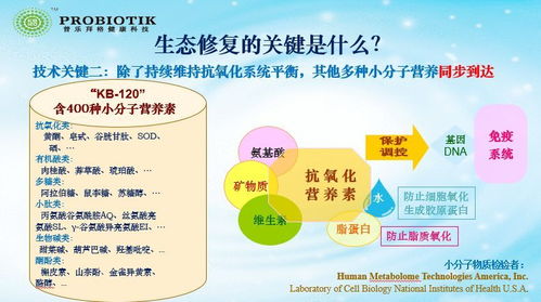 2. 水系配置对财气与生育能量的双重调节